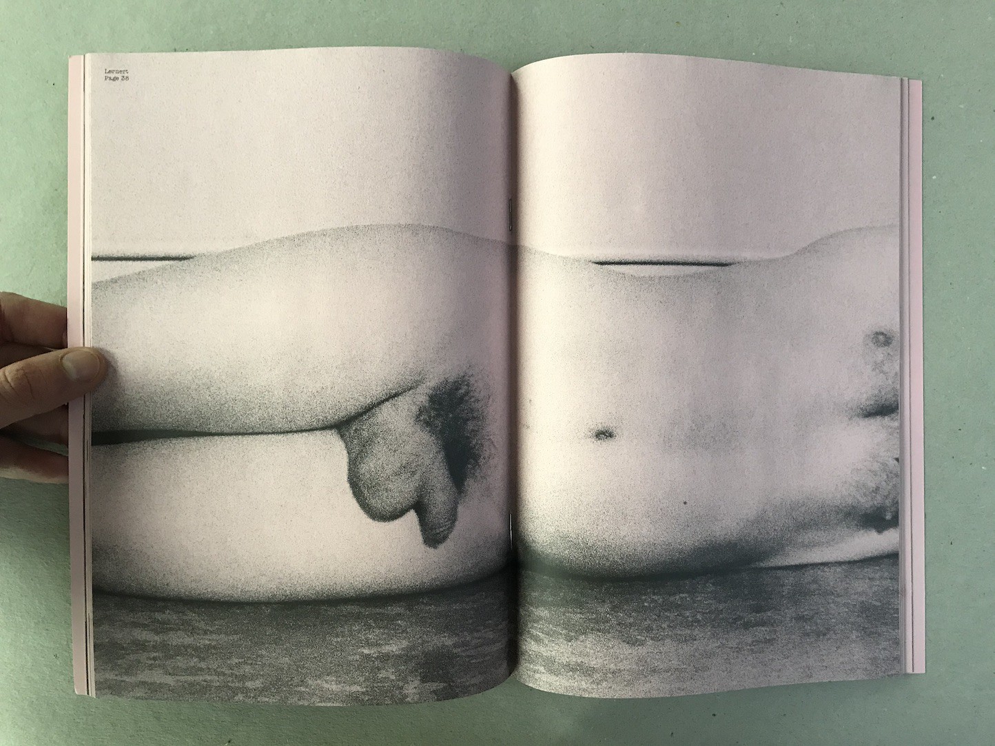 Show me by will mcbride - zbavsatoho.sk 