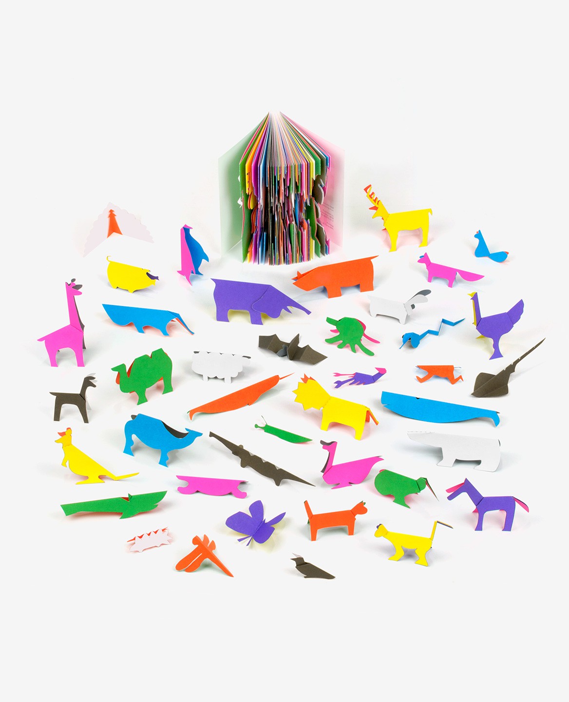 Zoo in my hand - Inkyeong & Sunkyung Kim - Éditions du livre