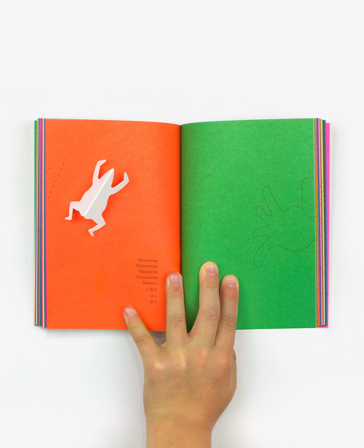 Zoo in my hand - Inkyeong & Sunkyung Kim - Éditions du livre