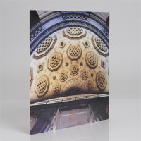 The Ghosts Of Bush (Special Edition - White Vinyl)