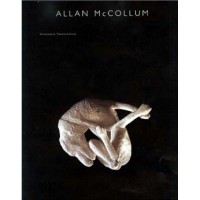 Allan McCollum 