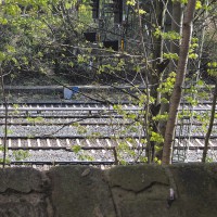 5 S-Bahn (LP)