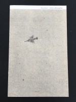 Letter to a Refusing Pilot