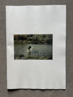 All Dogs Go To Heaven