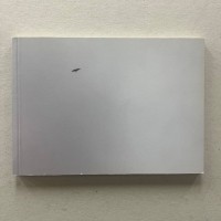 Felix Gonzalez-Torres: America