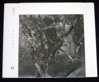 Aononymous: Lungs
