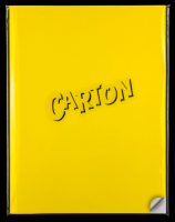 Carton
