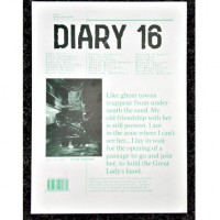 Diary 16 #2: Sensitive Surface