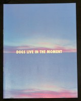 Dogs live in the moment