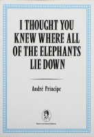 I Thought You Knew Where All of the Elephants Lie Down