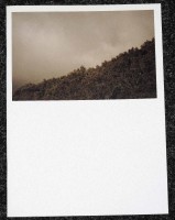 Kahu