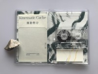 Kinematic Cache (cassette) 