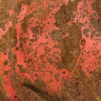 Purple Trap – The Stone (Vinyl)