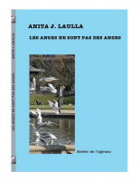 Les anges ne sont pas des anges