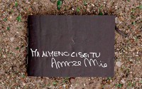 Ma Almeno Ci Sei Tu Amore Mio – But At Least You Are Here My Love
