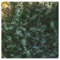 Meakusma (Generators) (LP)