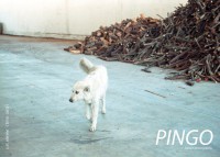 Pingo, Nature Photography