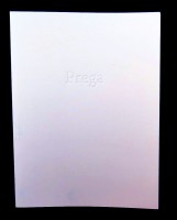 Prega 