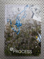 Peles Duo - PROCESS