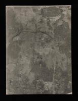 Provence Issue O (Nick Mauss dust jacket)