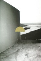Public Fiction #2