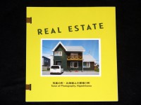 Real Estate
