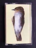 Anatomie of a  Bird  (Cassette)