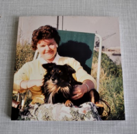 Ulvehund №1