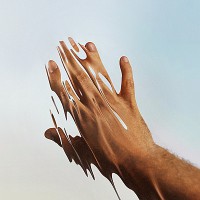 Shared Meanings (vinyl)