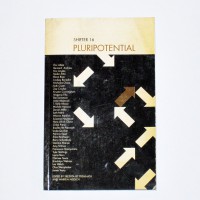 Shifter #16: Pluripotential