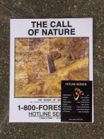 The Call of Nature