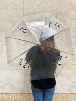 Umbrella #1