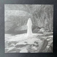 Veils (vinyl)