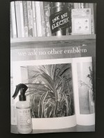 We ask no other emblem