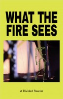What the Fire Sees. A Divided Reader