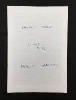 Z-ART No. 14: Bachelors' Addresses, 2011 