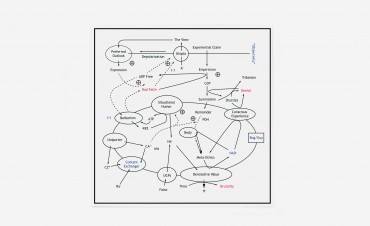Matt Carlson, The View From Nowhere, Shelter Press