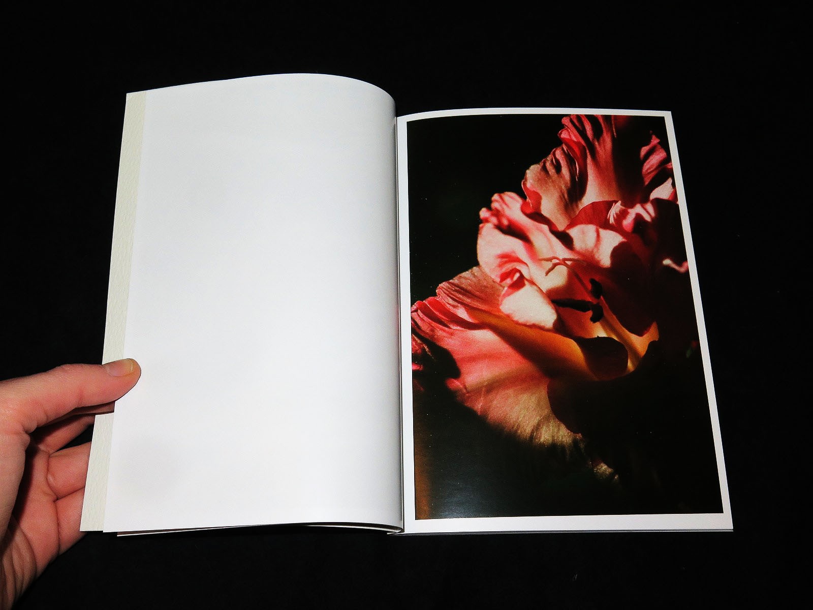 08 - Lina Scheynius - Self published