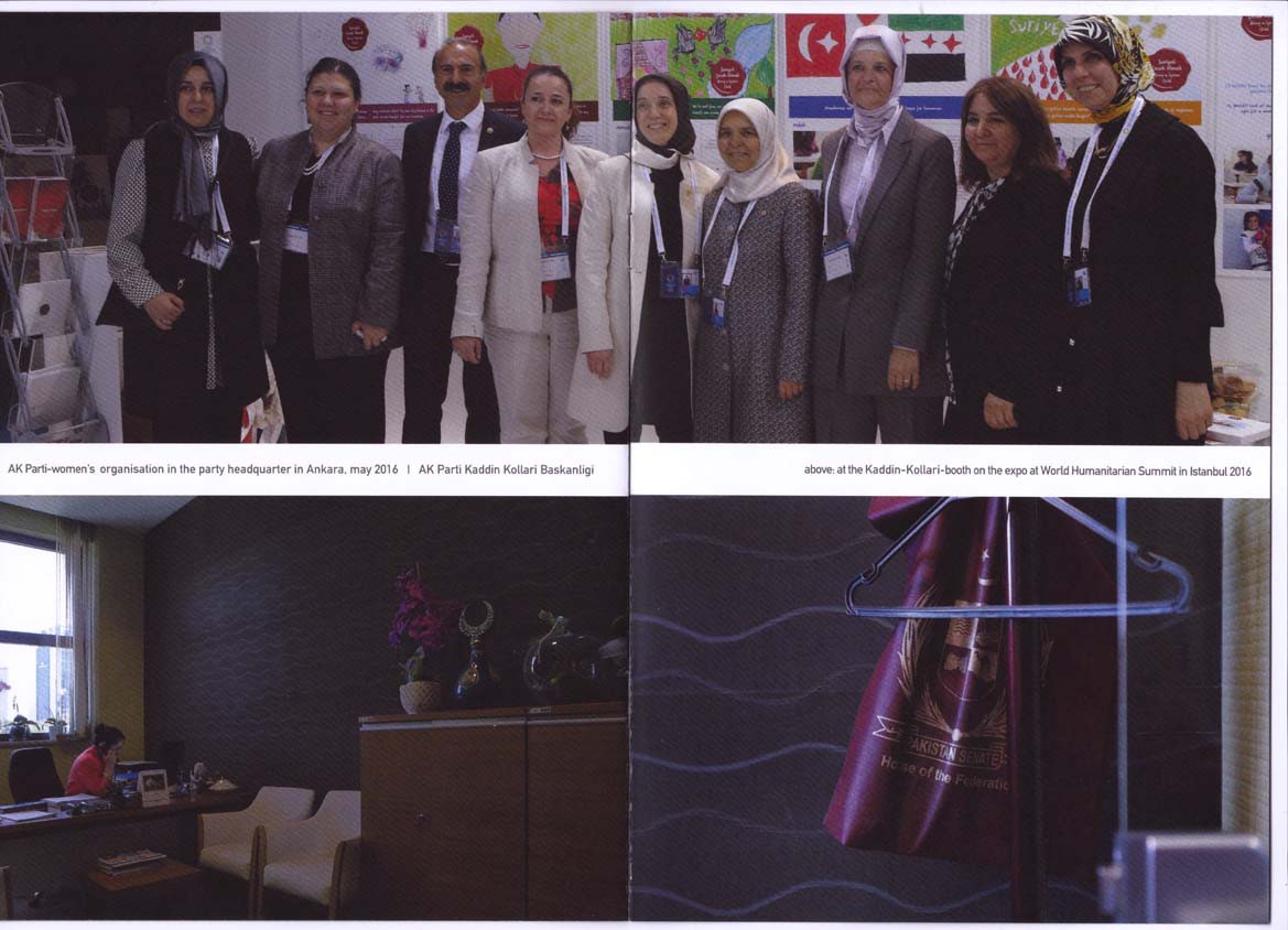 Hofter Monthly 43 Sibylle Hofter Edition Schwimmer