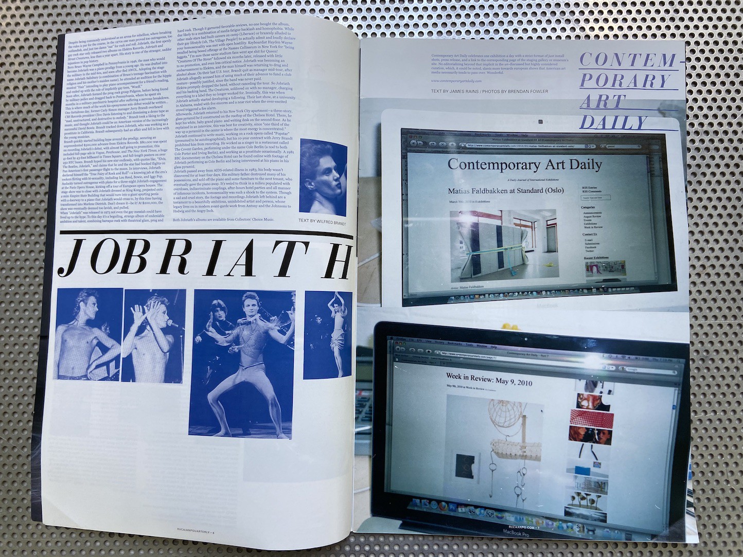 ANP Quarterly vol.2 #5 - Aaron Rose - Ed Templeton - Brendan