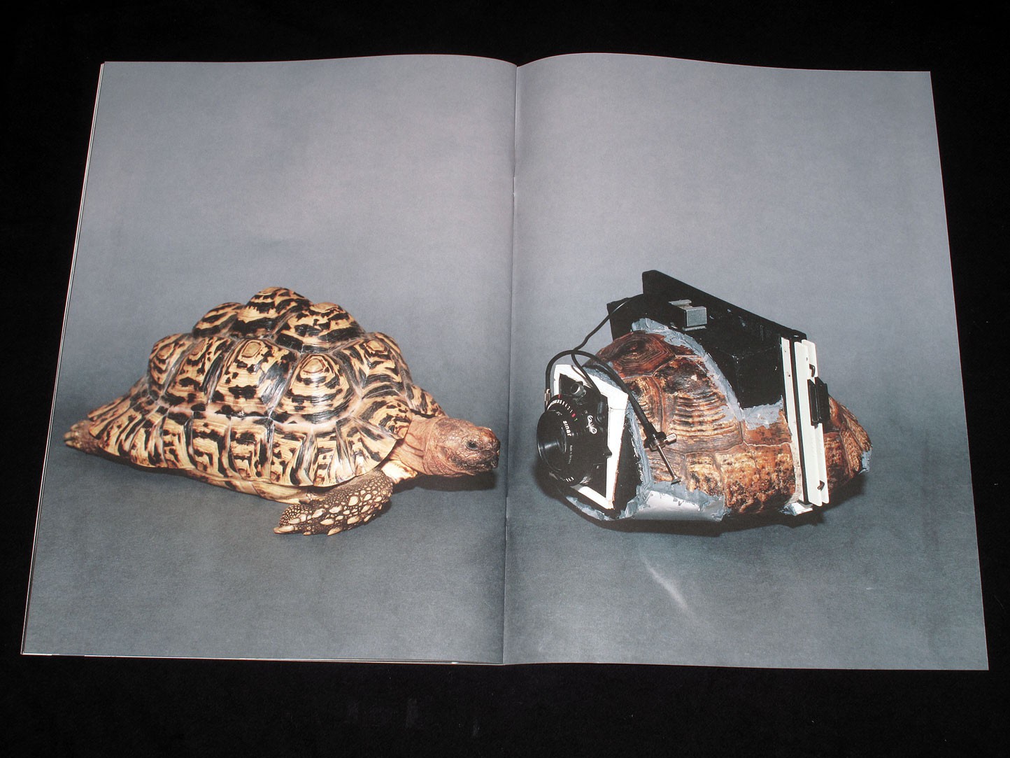 As Long As It Photographs / It Must Be A Camera. Nico Krebs, Taiyo