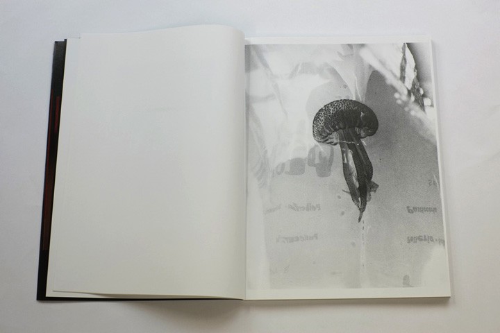 Bill 1 - Julie Peeters - Roma Publications