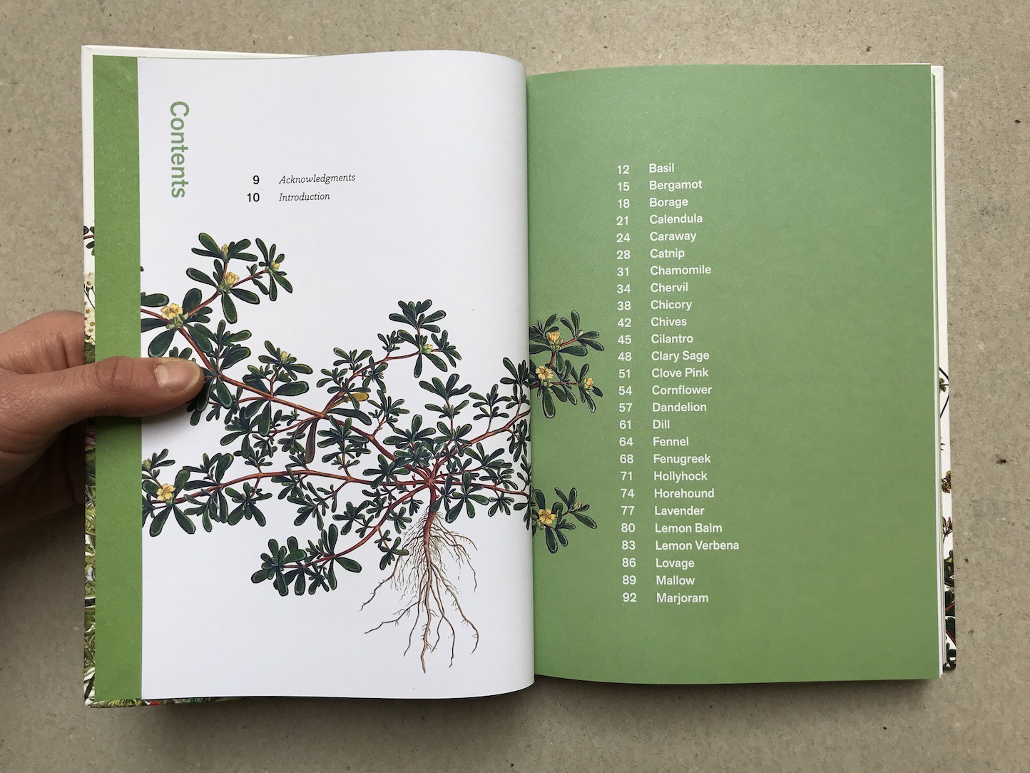 Herbal Handbook The New York Botanical Garden Clarkson Potter