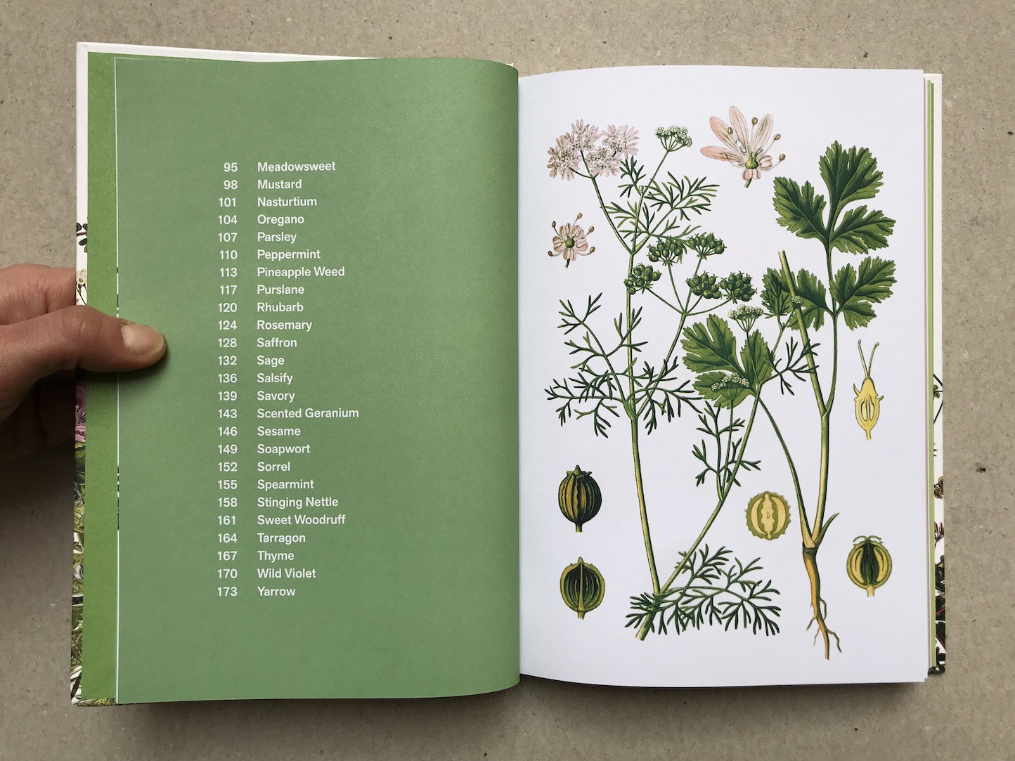 Herbal Handbook The New York Botanical Garden Clarkson Potter