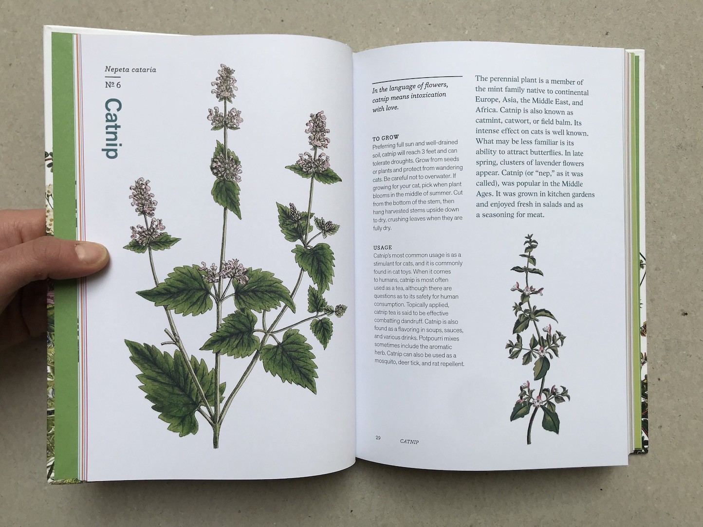 Herbal Handbook, 51 Profiles in Words and art from the Rare Book and