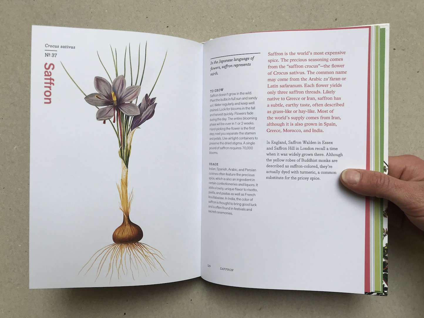 Herbal Handbook The New York Botanical Garden Clarkson Potter