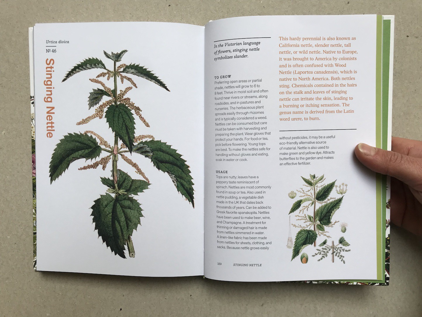 Herbal Handbook The New York Botanical Garden Clarkson Potter