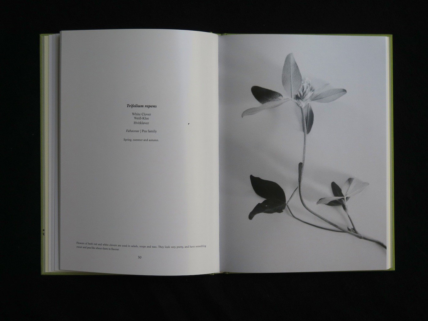 Weeds & Aliens An Unnatural History of Plants, 9788293104162