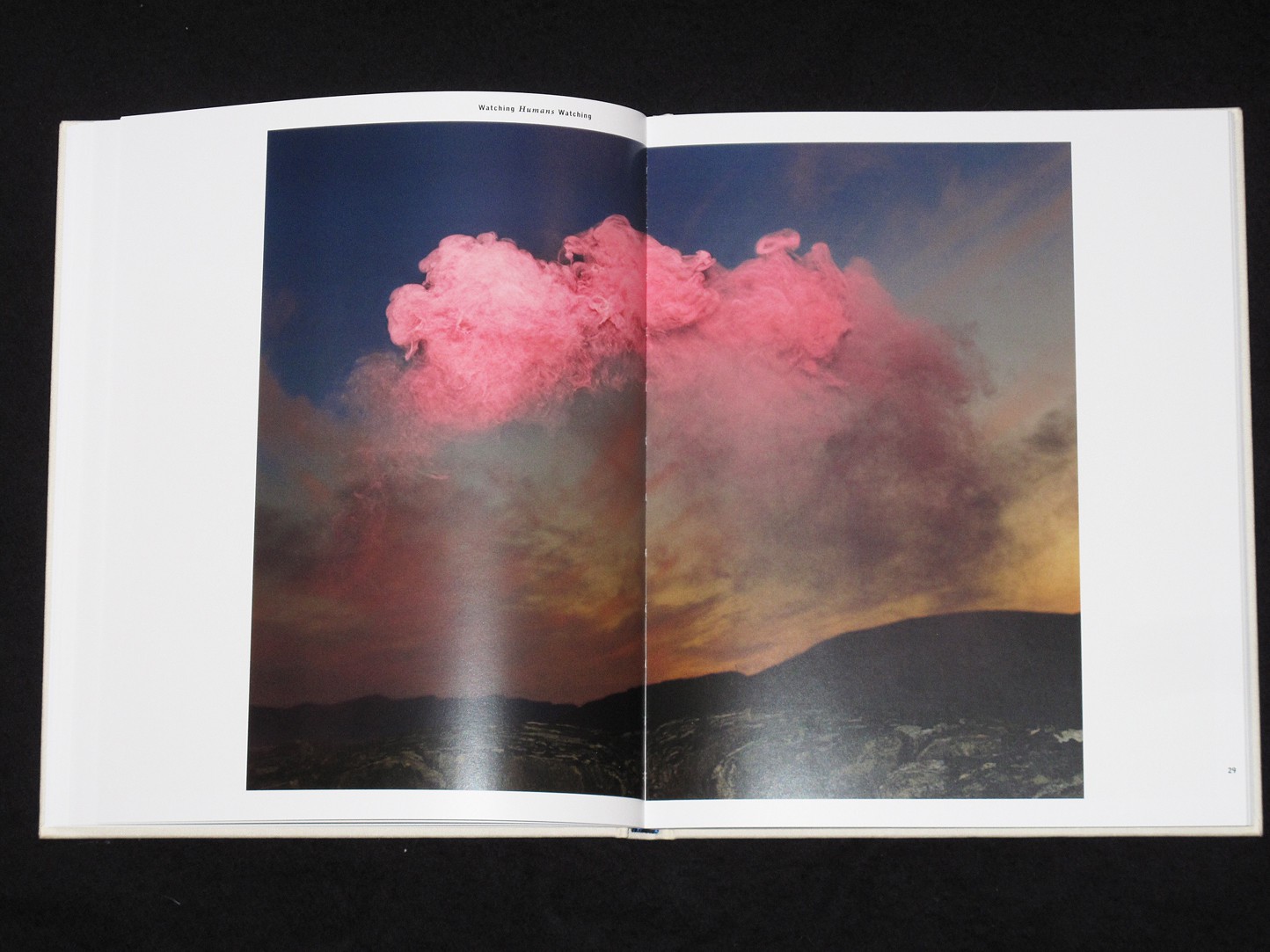 inka_niclas_watching_humans_wa