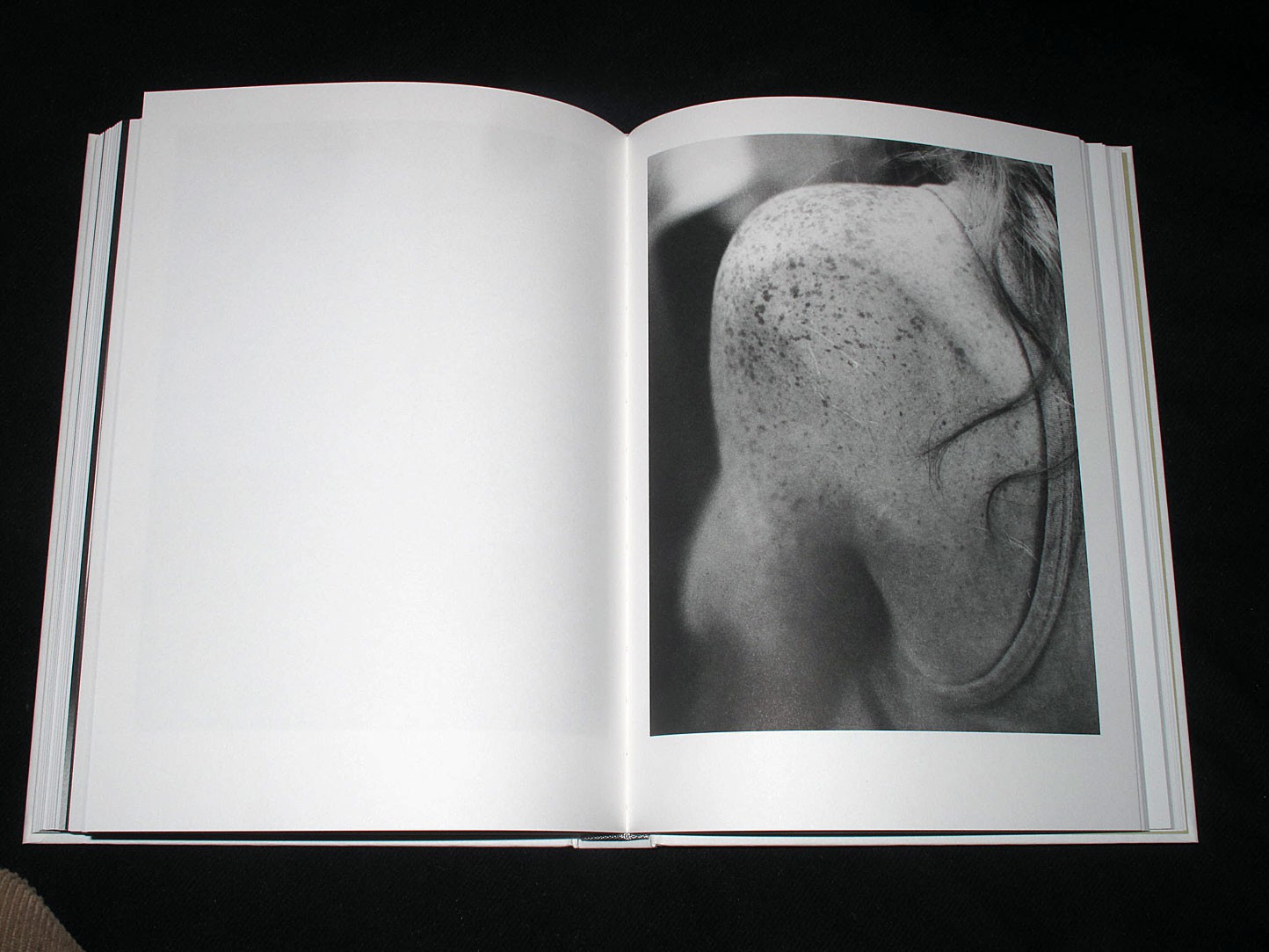 Jochen Lempert: Phenotype - Verlag der Buchhandlung Walther König